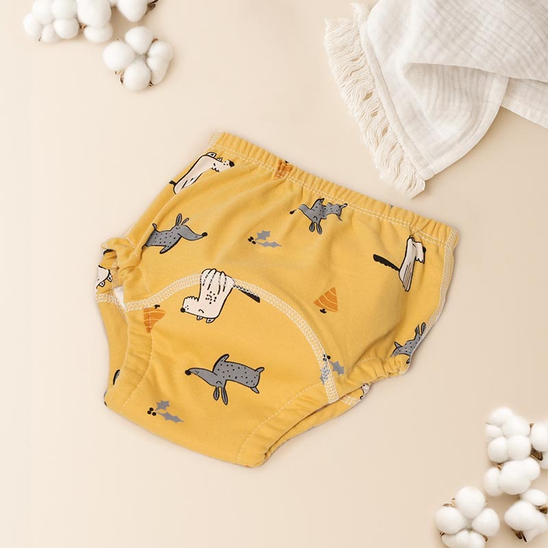 Loondie Potty Undies™