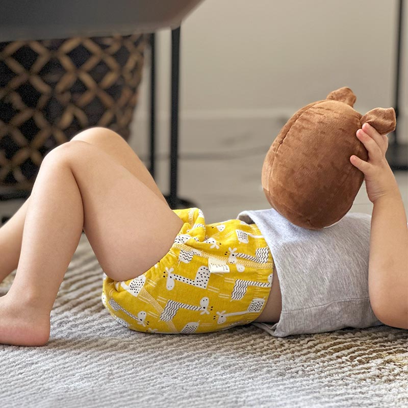 Loondie Potty Undies™